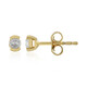 Zircon Silver Earrings (Adela Silber)