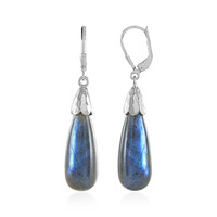 Labradorite Silver Earrings
