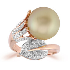 9K Kabira Golden South Sea Pearl Gold Ring (TPC)