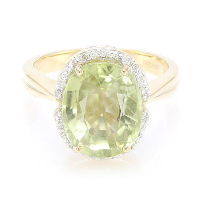 18K Paraiba Tourmaline Gold Ring (AMAYANI)