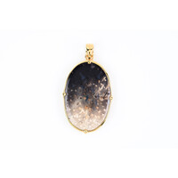 Petrified Palm Wood Silver Pendant