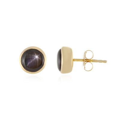 Black Star Sapphire Silver Earrings