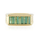 Benedito Green Tourmaline Silver Ring(Adela Silber)