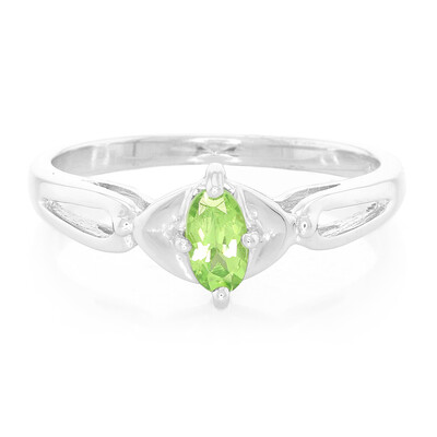 Merelani Mint Garnet Silver Ring