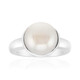 White Freshwater Pearl Silver Ring (Michelle Albala)