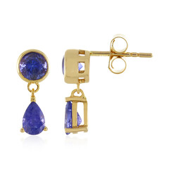 9K Tanzanite Gold Earrings (Adela Gold)