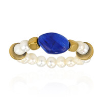 Kyanite Ring (TPC)