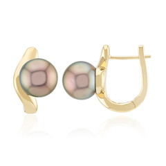 18K Tahitian Pearl Gold Earrings (Michelle Albala)