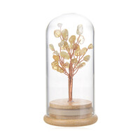 Accessory with Citrine