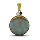 Petrified Opalized Wood Silver Pendant (Bali Barong)