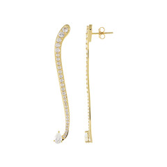 Zircon Silver Earrings