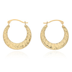 9K Gold Earrings