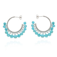 Sleeping Beauty Turquoise Silver Earrings (Anne Bever)