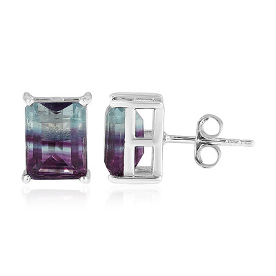 Bi Colour Fluorite Silver Earrings