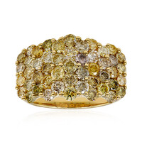 14K SI2 Fancy Diamond Gold Ring (CIRARI)