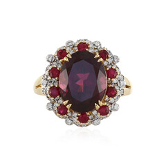 18K AAA Umbalit Gold Ring (D'vyere)