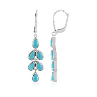 Sleeping Beauty Turquoise Silver Earrings