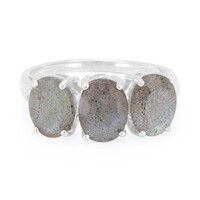 Labradorite Silver Ring