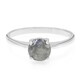 Romanian Spectrolite Silver Ring