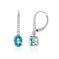 Ratanakiri Zircon Platinum Earrings