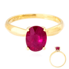 9K Madagascar Ruby Gold Ring (de Melo)