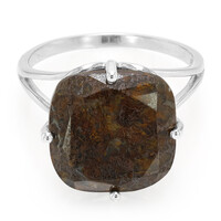 Dinosaur Bone Silver Ring