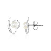 Freshwater pearl Silver Earrings
