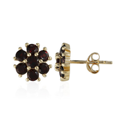 Garnet Silver Earrings
