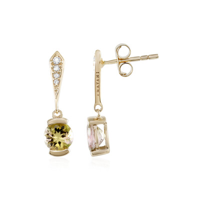 14K Brazilian Tourmaline Gold Earrings (AMAYANI)