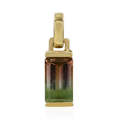 9K Bi Colour Tourmaline Gold Pendant