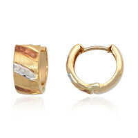 9K Gold Earrings