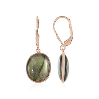 Green Maniry Labradorite Silver Earrings (KM by Juwelo)