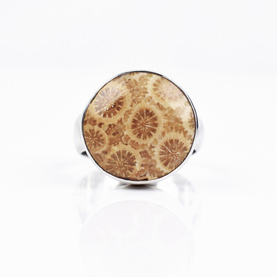 Petrified Coral Silver Ring