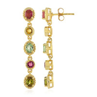 Fancy Tourmaline Silver Earrings