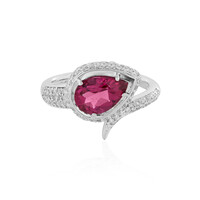 14K Rubellite Gold Ring (AMAYANI)