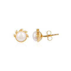 Cream Freshwater Pearl Silver Earrings