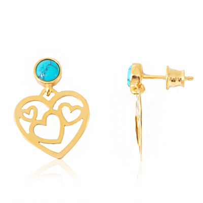Turquoise Silver Earrings (dagen)