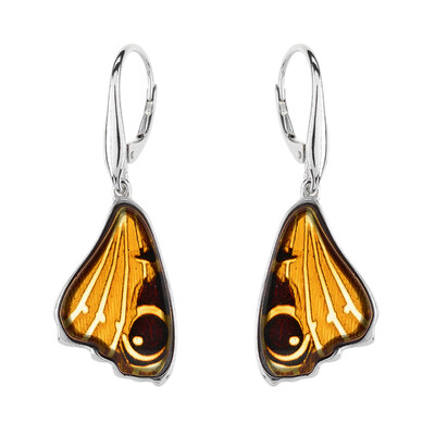 Baltic Amber Silver Earrings (dagen)