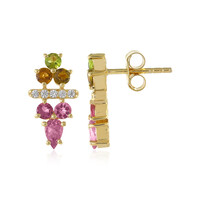 Fancy Tourmaline Silver Earrings