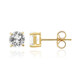 Zircon Silver Earrings