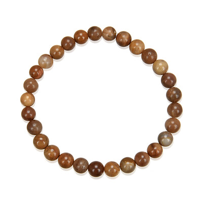 Petrified Wood Bracelet