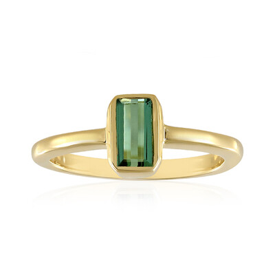 Benedito Green Tourmaline Silver Ring (Adela Silber)