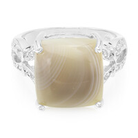 Botswana Agate Silver Ring