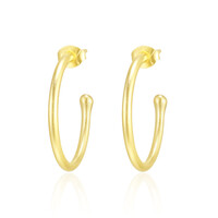 Silver Earrings (Maigold Kreativ)