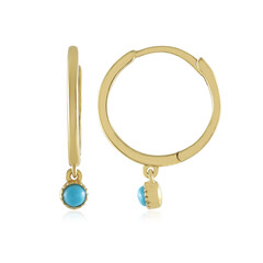 Turquoise Silver Earrings
