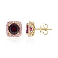 14K AAA Raspberry Rhodolite Gold Earrings (SUHANA)