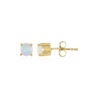 Welo Opal Silver Earrings