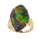 14K Ammolite Gold Ring (de Melo)