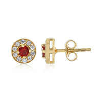 Tanzanian Ruby Silver Earrings (Adela Silber)