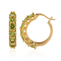 Burmese Peridot Silver Earrings